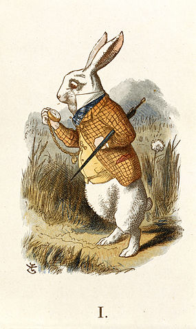 The White Rabbit